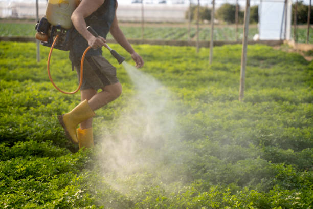 Best Pest Prevention Services  in Hartford, KY